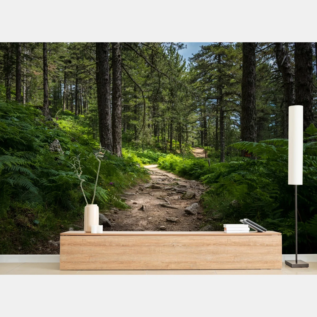 Fototapeta spokojna ścieżka leśna wśród bujnej zieleni – Wallissimo® Fototapeta spokojna ścieżka leśna wśród bujnej zieleni – Wallissimo®