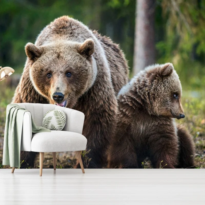 Fototapeta niedźwiedź brunatny z młodym w lesie – Wallissimo®
