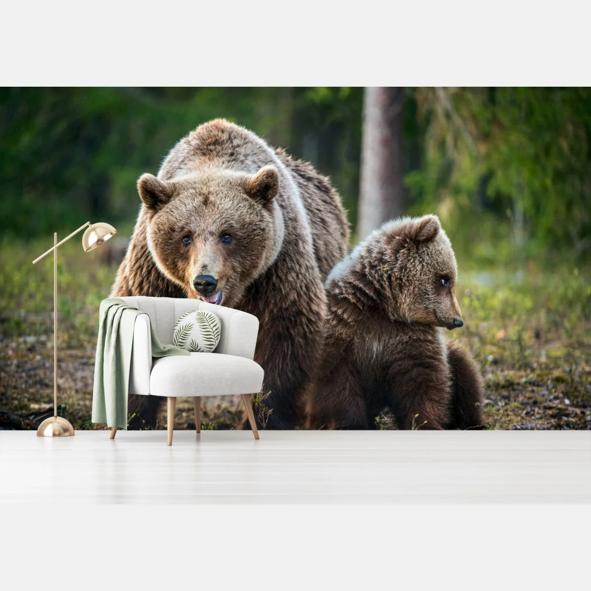 Fototapeta niedźwiedź brunatny z młodym w lesie – Wallissimo®