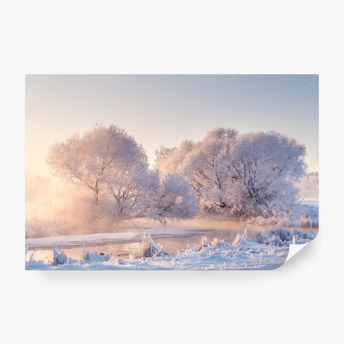 Fototapeta oszronione drzewa o świcie – Wallissimo® Fototapeta oszronione drzewa o świcie – Wallissimo®