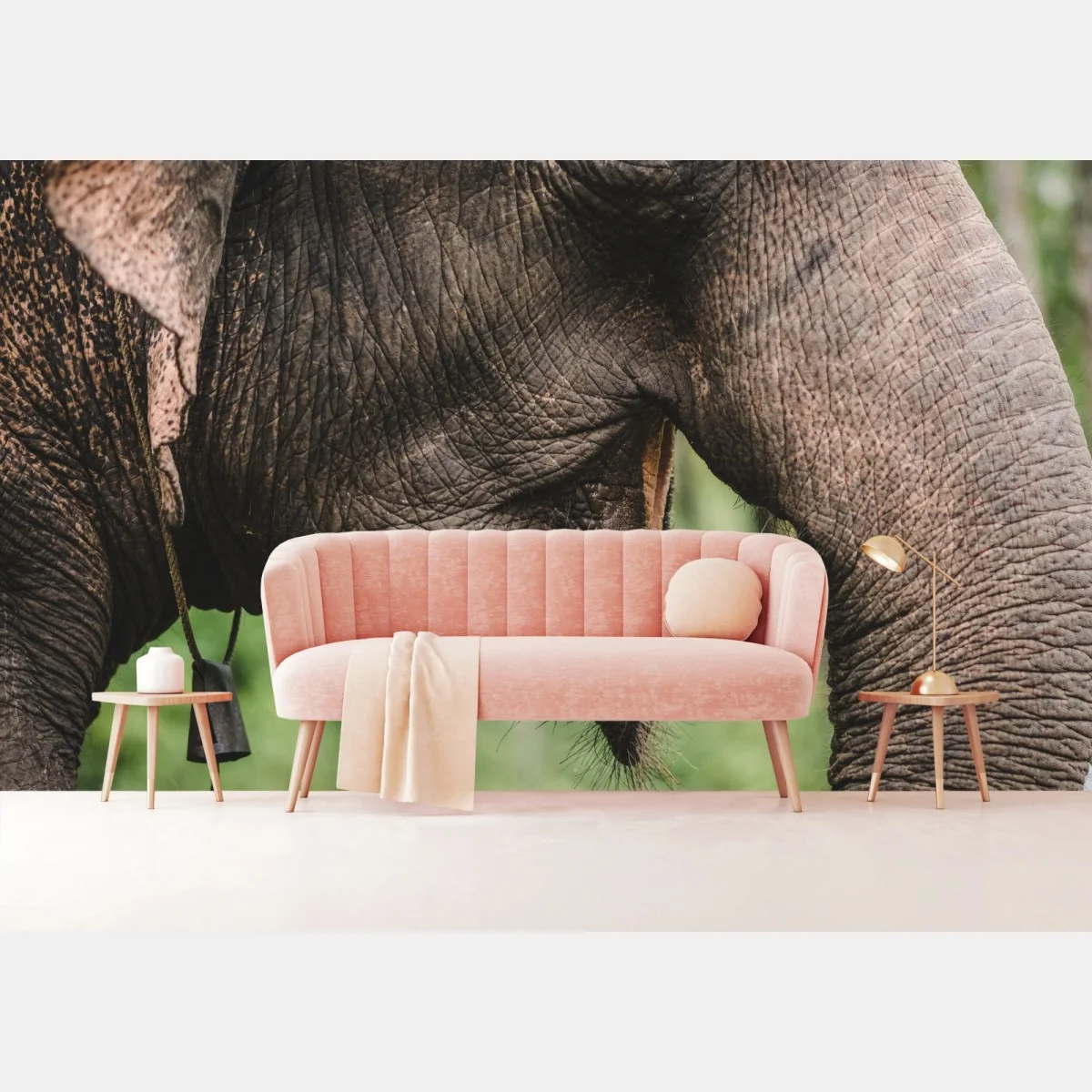 Fototapeta zbliżenie na słonia azjatyckiego – Wallissimo® Fototapeta zbliżenie na słonia azjatyckiego – Wallissimo®