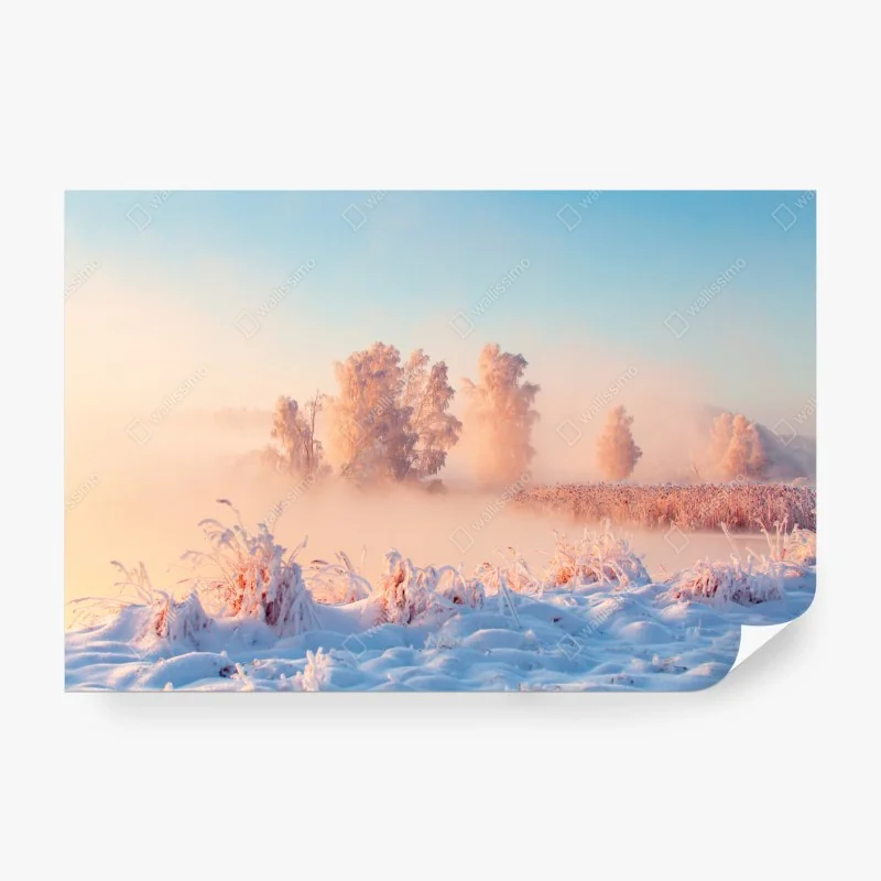 Fototapeta wzór z tropikalnymi liśćmi monstera – Wallissimo®