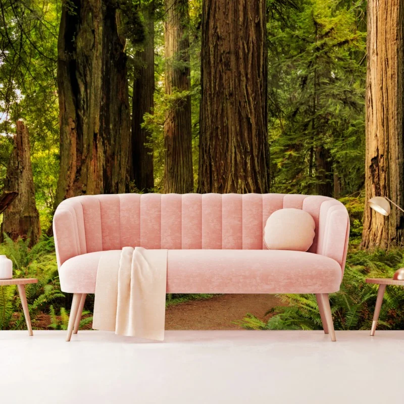 Fototapeta Kalifornia sekwoje leśna ścieżka – Wallissimo® Fototapeta Kalifornia sekwoje leśna ścieżka – Wallissimo®