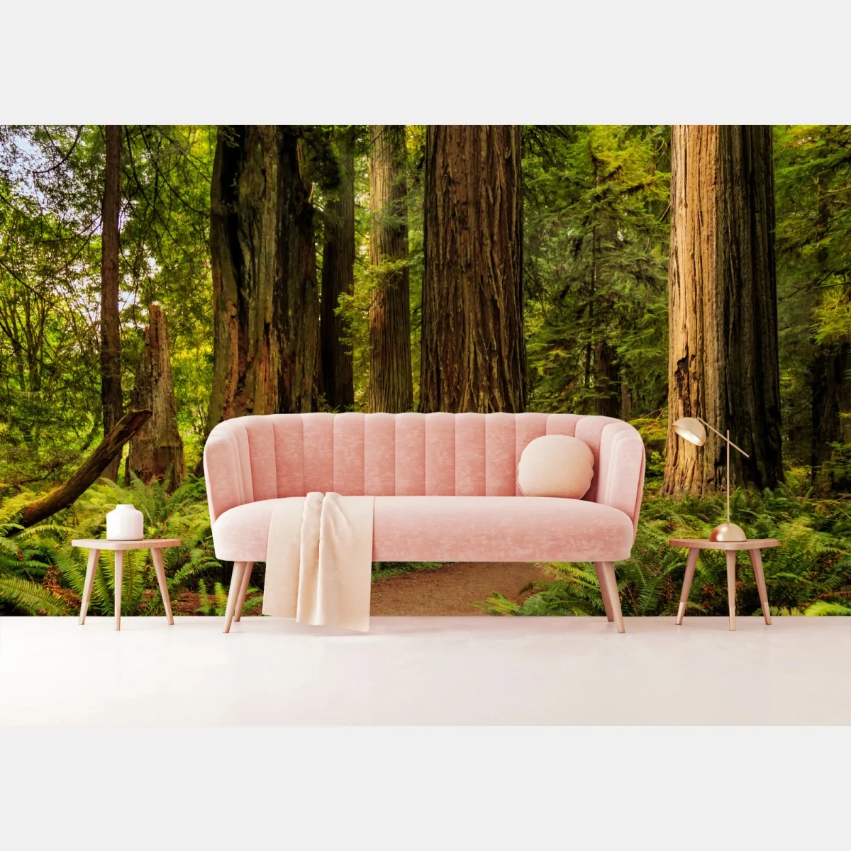 Fototapeta Kalifornia sekwoje leśna ścieżka – Wallissimo® Fototapeta Kalifornia sekwoje leśna ścieżka – Wallissimo®