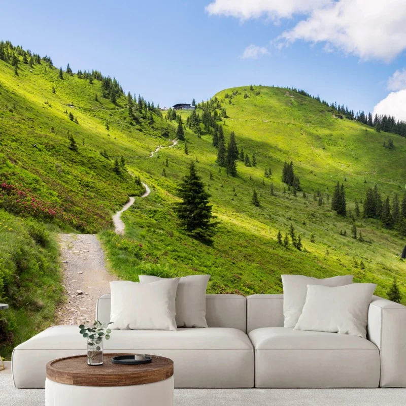 Fototapeta słoneczna górska ścieżka przez zieloną łąkę – Wallissimo® Fototapeta słoneczna górska ścieżka przez zieloną łąkę – Wallissimo®