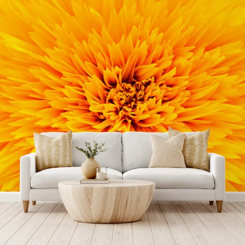Fototapeta promienny słonecznik z bliska – Wallissimo® Fototapeta promienny słonecznik z bliska – Wallissimo®