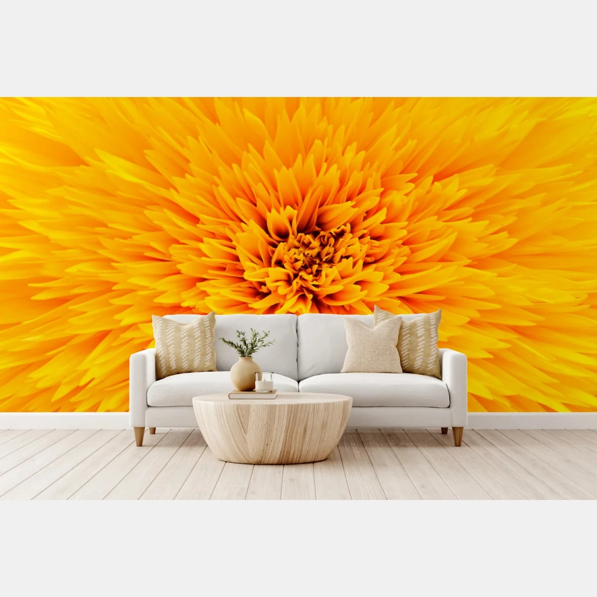 Fototapeta promienny słonecznik z bliska – Wallissimo® Fototapeta promienny słonecznik z bliska – Wallissimo®