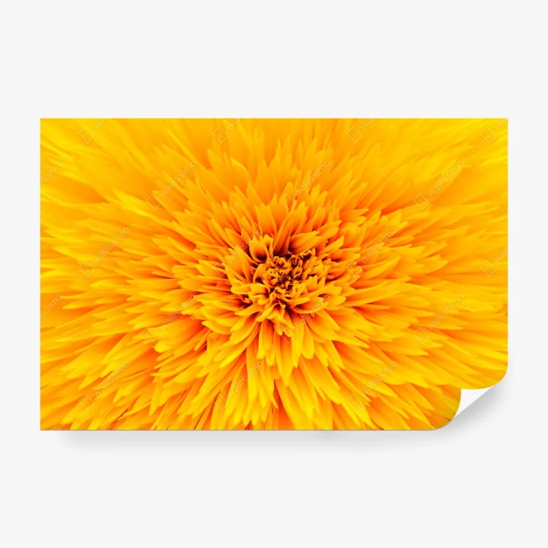 Fototapeta Santorini widok na morze z tarasu – Wallissimo®