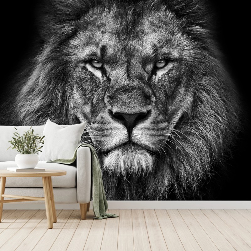 Fototapeta majestatyczny portret lwa w monochromie – Wallissimo® Fototapeta majestatyczny portret lwa w monochromie – Wallissimo®
