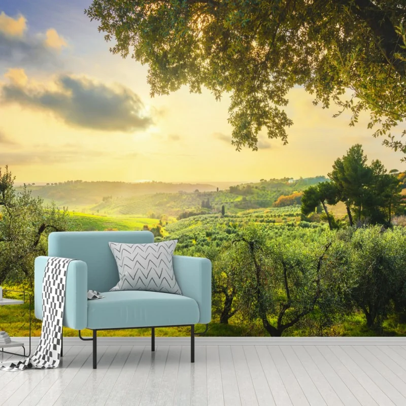 Fototapeta gaj oliwny przy zachodzie słońca w Maremma, Toskania – Wallissimo® Fototapeta gaj oliwny przy zachodzie słońca w Maremma, Toskania – Wallissimo®