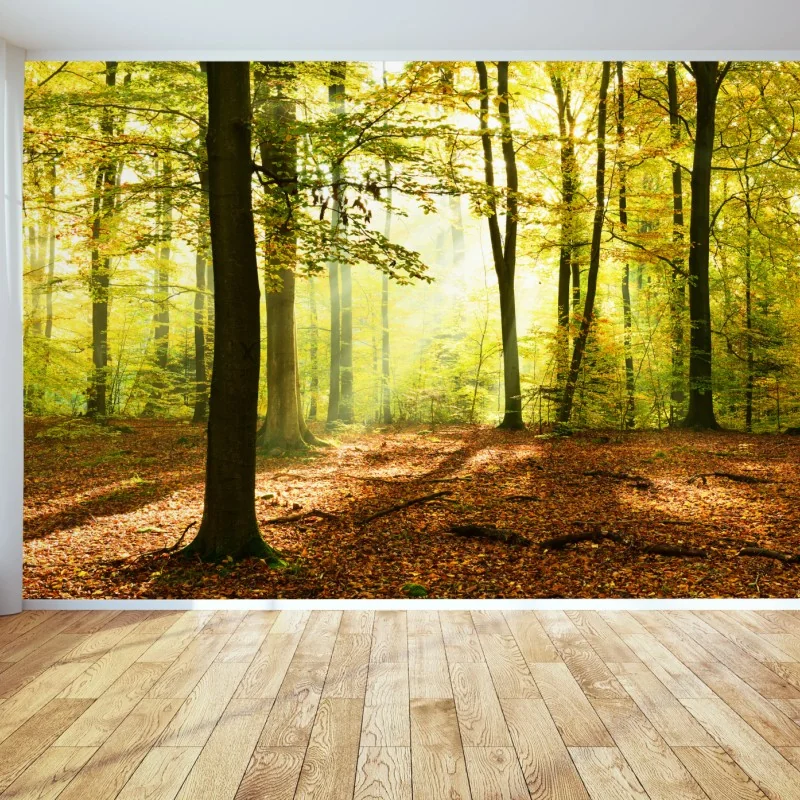 Fototapeta złoty jesienny las o poranku – Wallissimo® Fototapeta złoty jesienny las o poranku – Wallissimo®