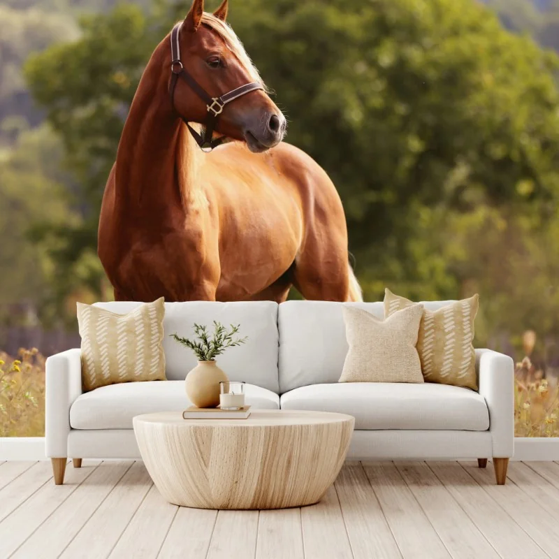 Fototapeta majestatyczny kasztanowy koń na letniej łące – Wallissimo®
