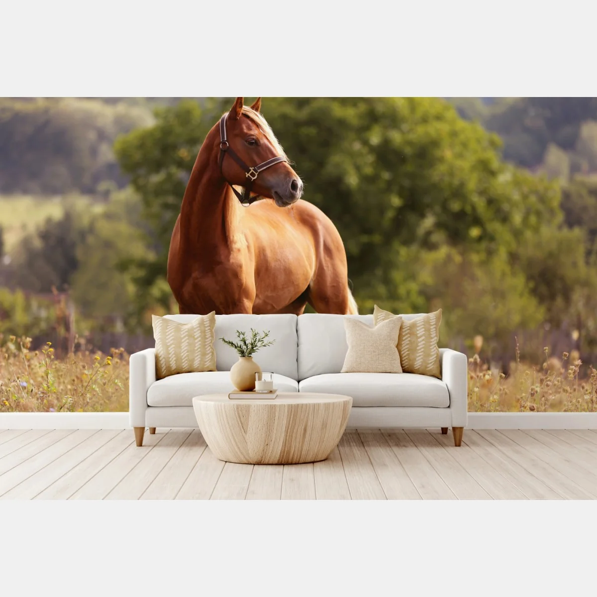 Fototapeta majestatyczny kasztanowy koń na letniej łące – Wallissimo®