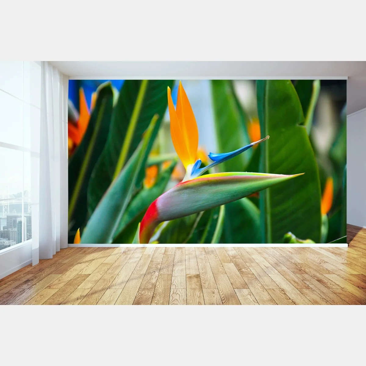 Fototapeta żywy kwiat ptaka rajskiego – Wallissimo® Fototapeta żywy kwiat ptaka rajskiego – Wallissimo®