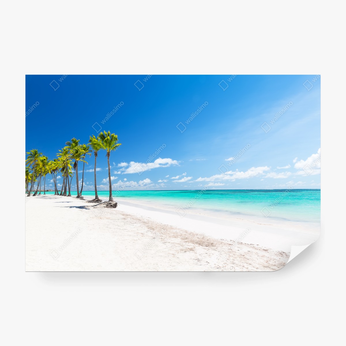 Fototapeta palmy na plaży w Punta Cana – Wallissimo® Fototapeta palmy na plaży w Punta Cana – Wallissimo®
