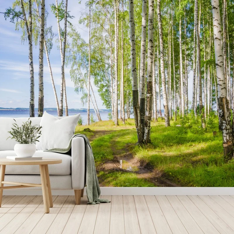 Fototapeta słoneczny zagajnik brzozowy nad wodą – Wallissimo® Fototapeta słoneczny zagajnik brzozowy nad wodą – Wallissimo®