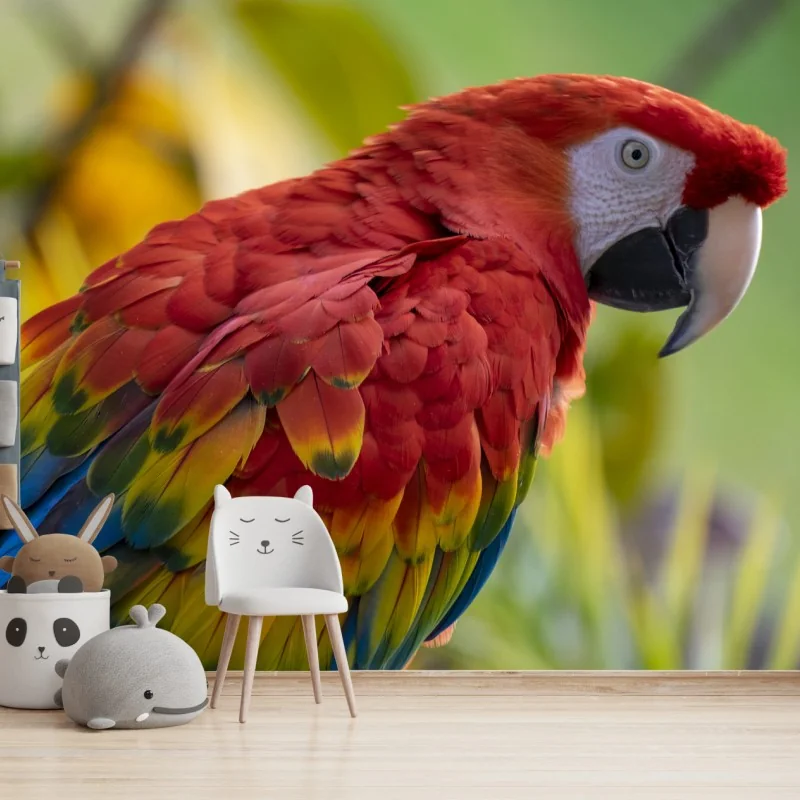 Fototapeta wyrazisty portret ary szkarłatnej – Wallissimo® Fototapeta wyrazisty portret ary szkarłatnej – Wallissimo®