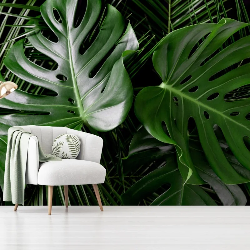Fototapeta bujne liście monstery – Wallissimo® Fototapeta bujne liście monstery – Wallissimo®