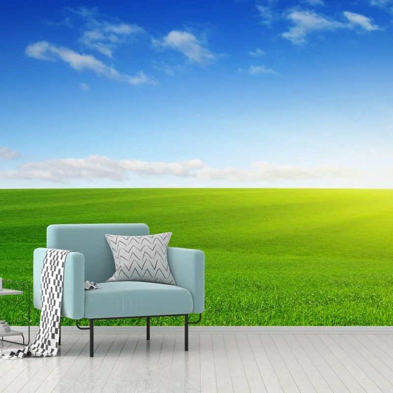 Fototapeta słoneczna zielona łąka o wschodzie – Wallissimo® Fototapeta słoneczna zielona łąka o wschodzie – Wallissimo®