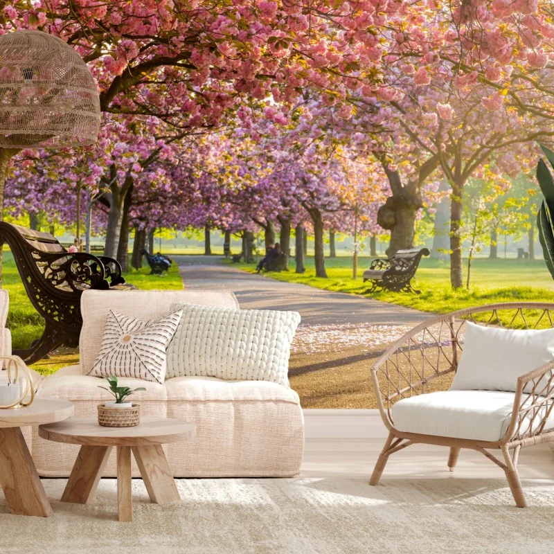 Fototapeta aleja kwitnących wiśni wiosną – Wallissimo® Fototapeta aleja kwitnących wiśni wiosną – Wallissimo®