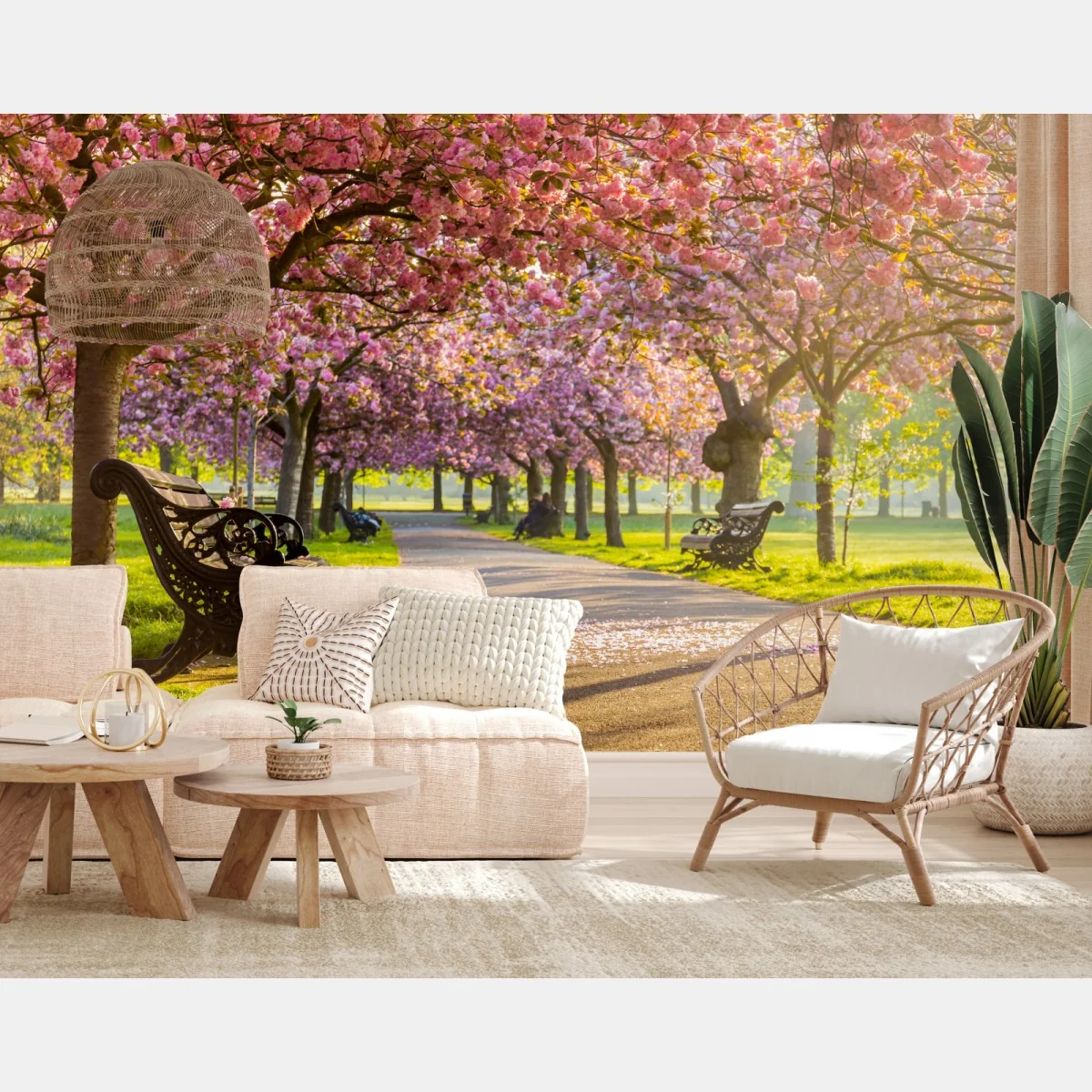 Fototapeta aleja kwitnących wiśni wiosną – Wallissimo® Fototapeta aleja kwitnących wiśni wiosną – Wallissimo®