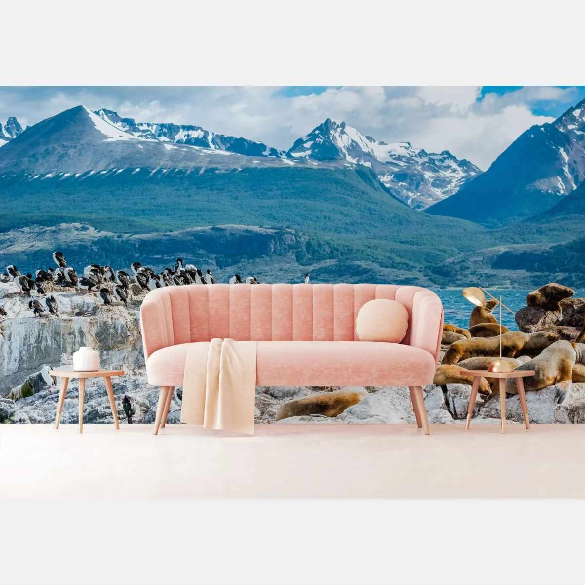 Fototapeta lwy morskie i ptaki na skalistym wybrzeżu – Wallissimo® Fototapeta lwy morskie i ptaki na skalistym wybrzeżu – Wallissimo®