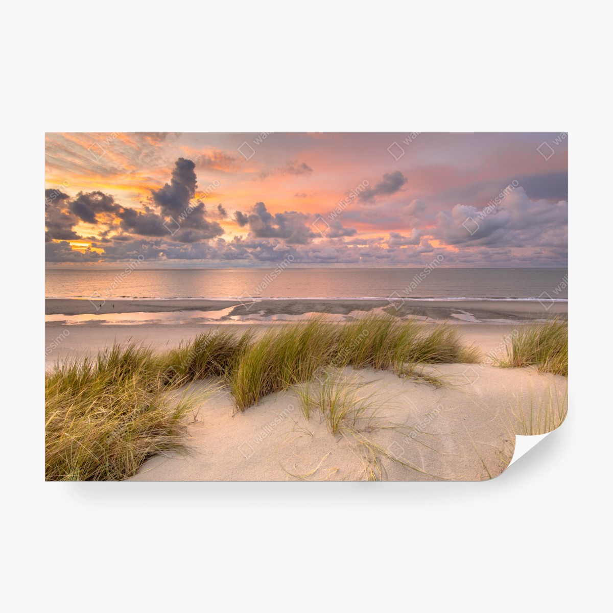 Fototapeta zachód słońca nad wydmami Zeeland – Wallissimo® Fototapeta zachód słońca nad wydmami Zeeland – Wallissimo®