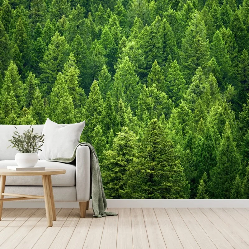 Fototapeta bujna korona lasu sosnowego – Wallissimo® Fototapeta bujna korona lasu sosnowego – Wallissimo®