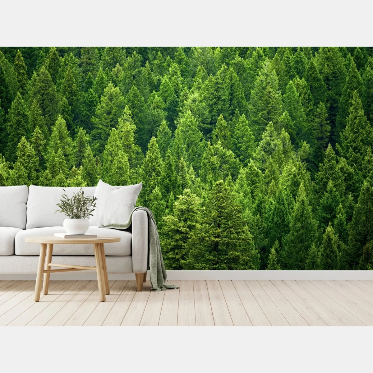 Fototapeta bujna korona lasu sosnowego – Wallissimo® Fototapeta bujna korona lasu sosnowego – Wallissimo®