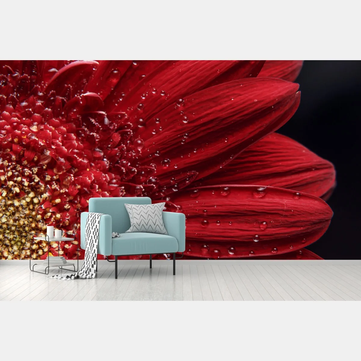 Fototapeta czerwona gerbera makro z kroplami rosy – Wallissimo® Fototapeta czerwona gerbera makro z kroplami rosy – Wallissimo®