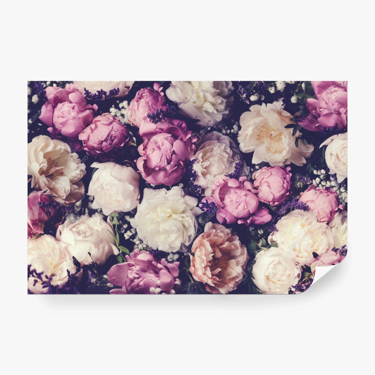 Fototapeta romantyczny bukiet piwonii w pastelowych tonach – Wallissimo® Fototapeta romantyczny bukiet piwonii w pastelowych tonach – Wallissimo®