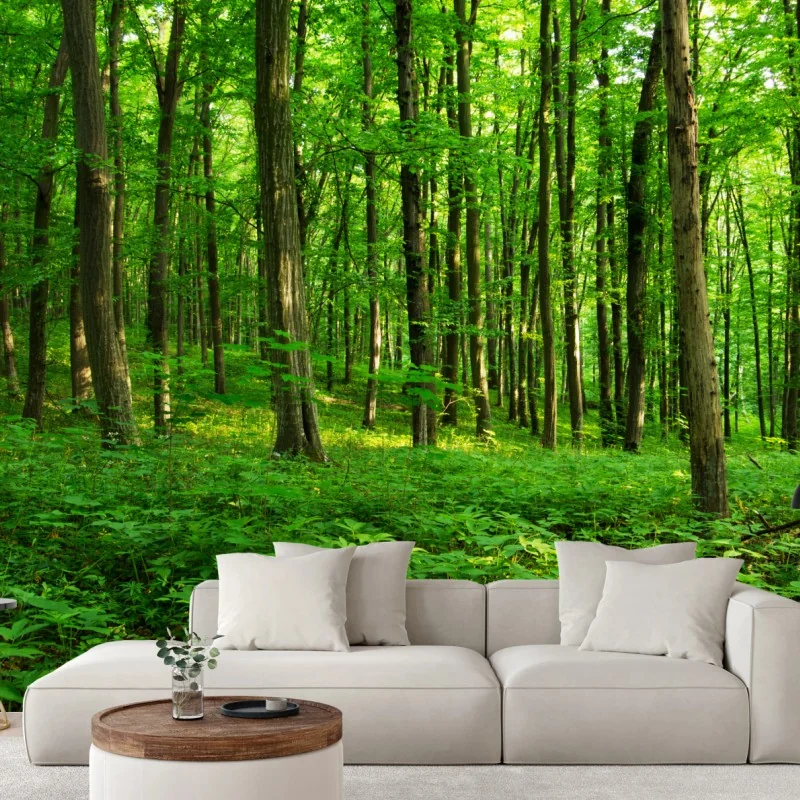 Fototapeta słoneczny zielony las wiosną – Wallissimo® Fototapeta słoneczny zielony las wiosną – Wallissimo®