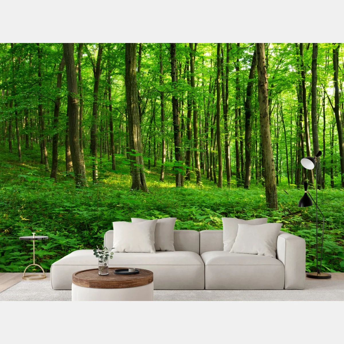 Fototapeta słoneczny zielony las wiosną – Wallissimo® Fototapeta słoneczny zielony las wiosną – Wallissimo®