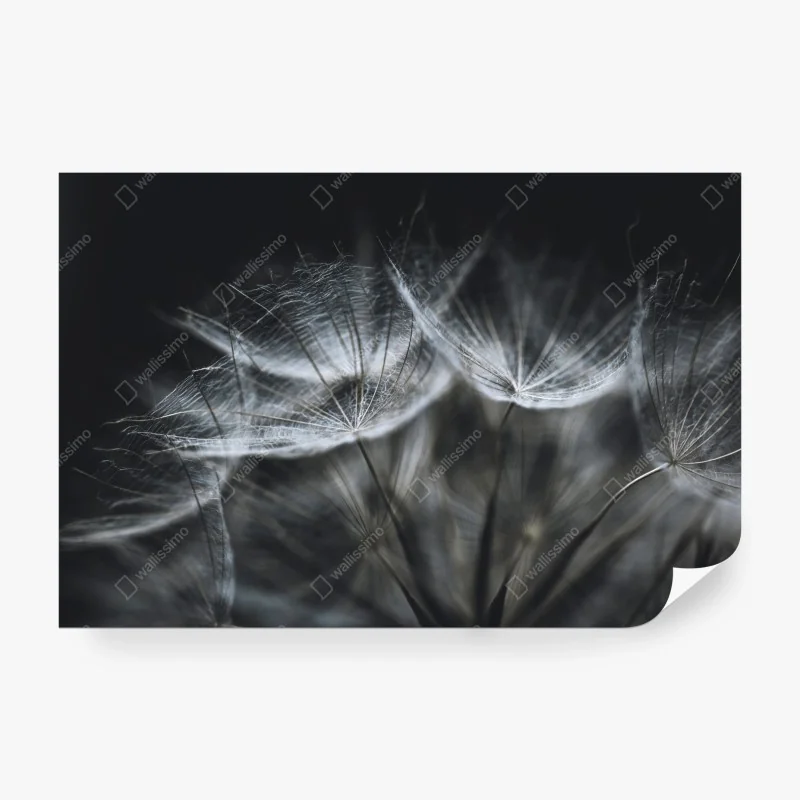 Fototapeta uroczy wzór z misiem do pokoju dziecięcego – Wallissimo®