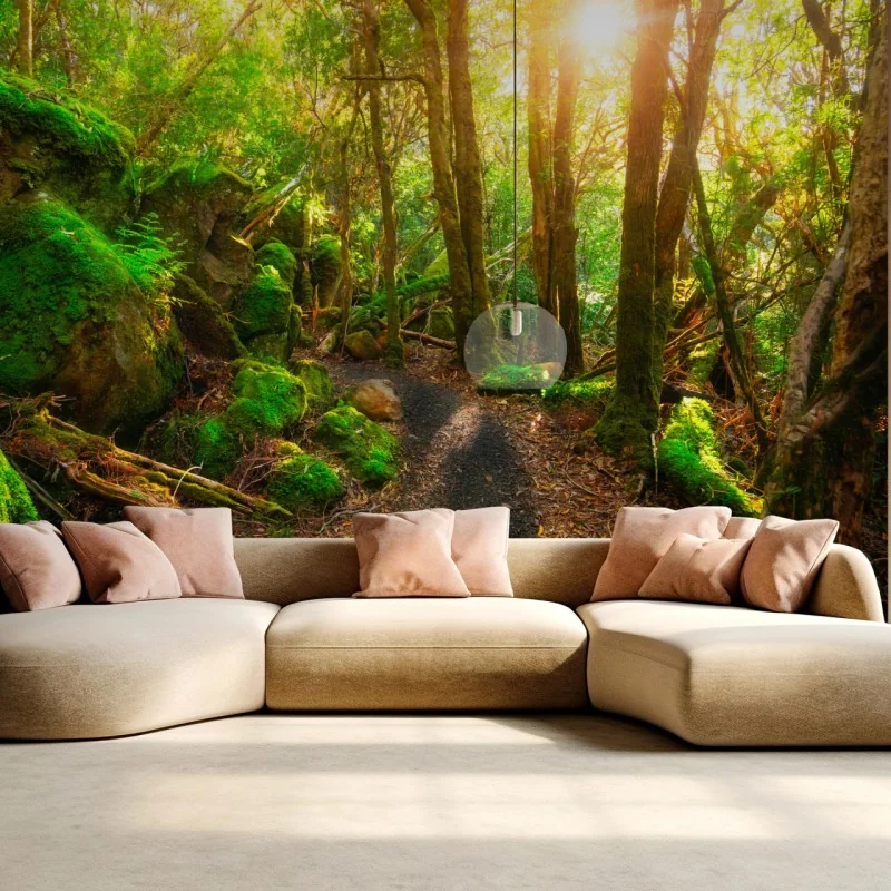 Fototapeta słoneczna ścieżka w lesie deszczowym Półwyspu Tasman, Tasmania – Wallissimo® Fototapeta słoneczna ścieżka w lesie deszczowym Półwyspu Tasman, Tasmania – Wallissimo®