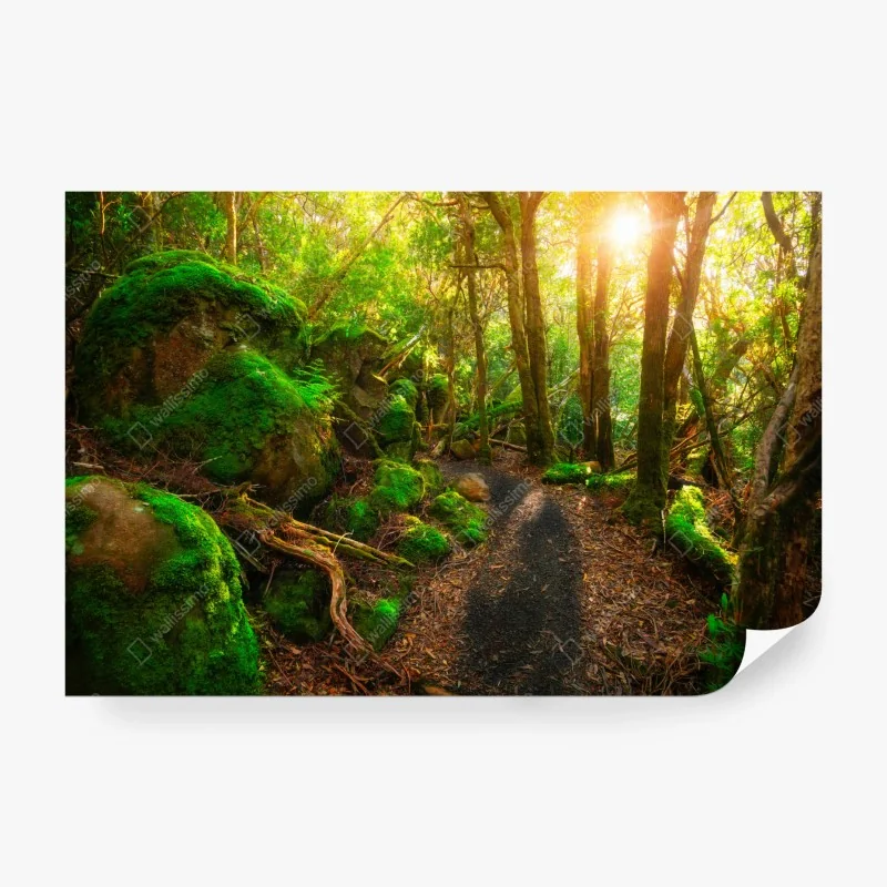 Fototapeta leśni przyjaciele - kwiatowy wzór do pokoju dziecięcego – Wallissimo®