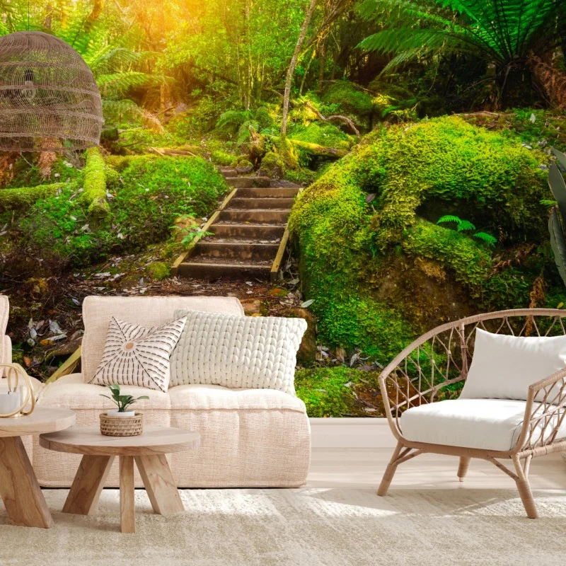 Fototapeta ścieżka w lesie deszczowym na Półwyspie Tasmańskim – Wallissimo® Fototapeta ścieżka w lesie deszczowym na Półwyspie Tasmańskim – Wallissimo®