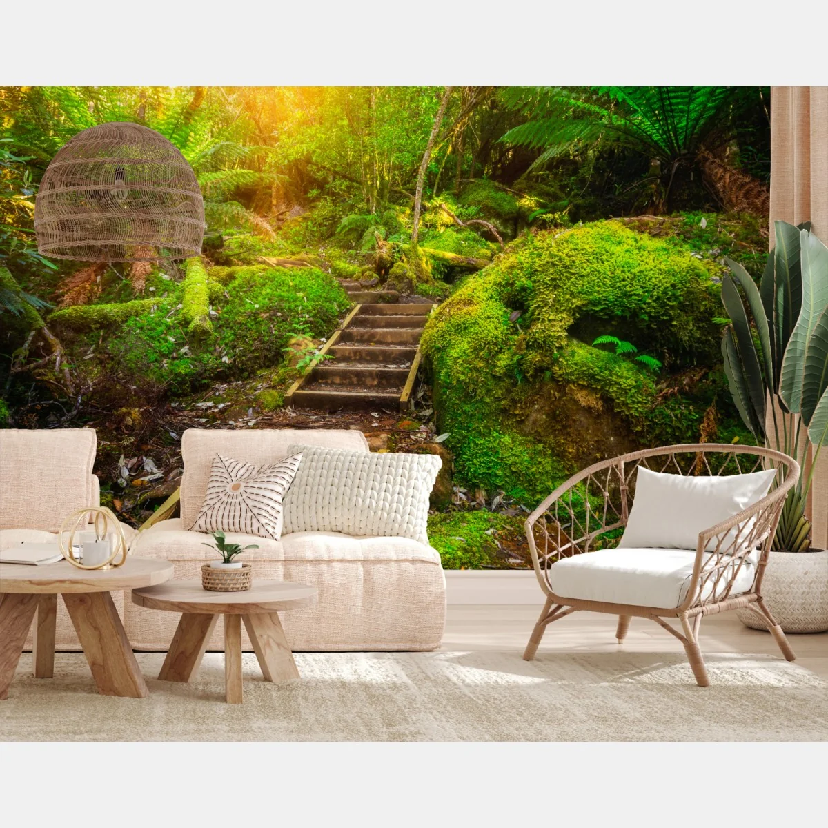 Fototapeta ścieżka w lesie deszczowym na Półwyspie Tasmańskim – Wallissimo® Fototapeta ścieżka w lesie deszczowym na Półwyspie Tasmańskim – Wallissimo®