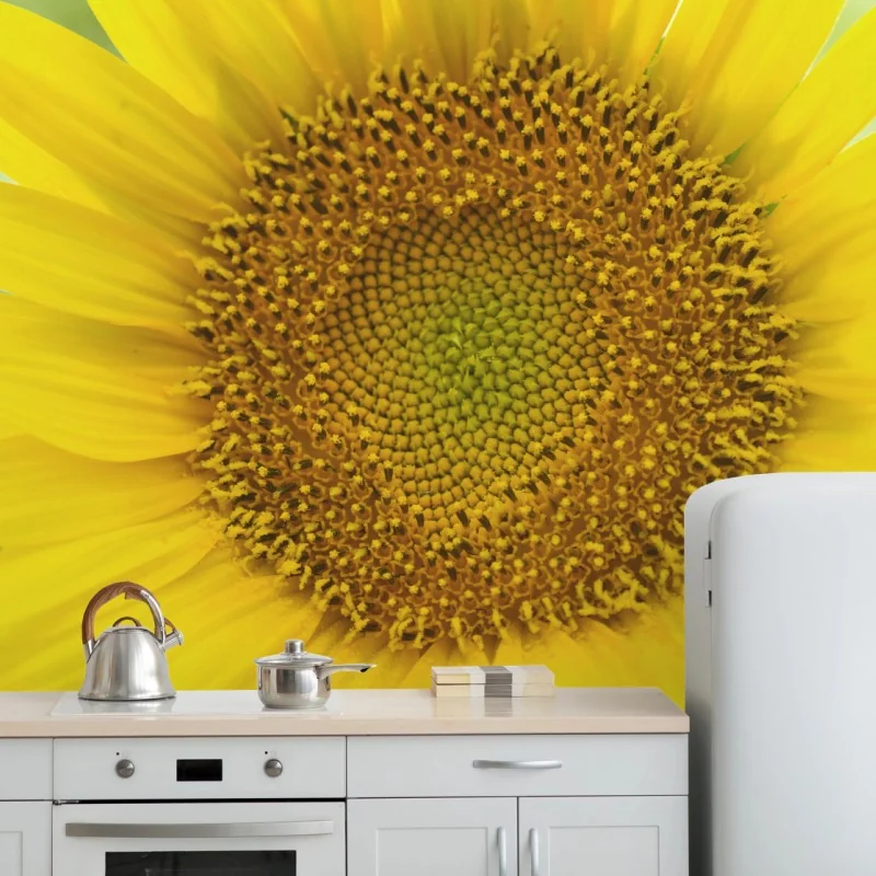Fototapeta zbliżenie słonecznika – Wallissimo® Fototapeta zbliżenie słonecznika – Wallissimo®