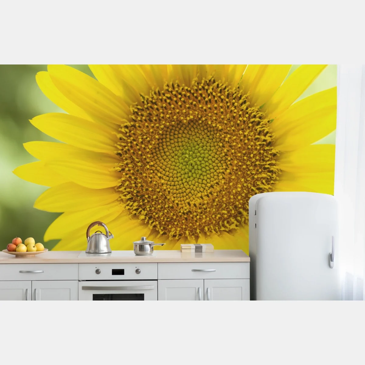 Fototapeta zbliżenie słonecznika – Wallissimo® Fototapeta zbliżenie słonecznika – Wallissimo®