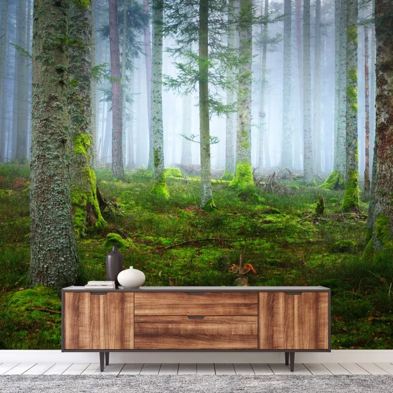 Fototapeta mglisty las sosnowy z Alzacji – Wallissimo® Fototapeta mglisty las sosnowy z Alzacji – Wallissimo®