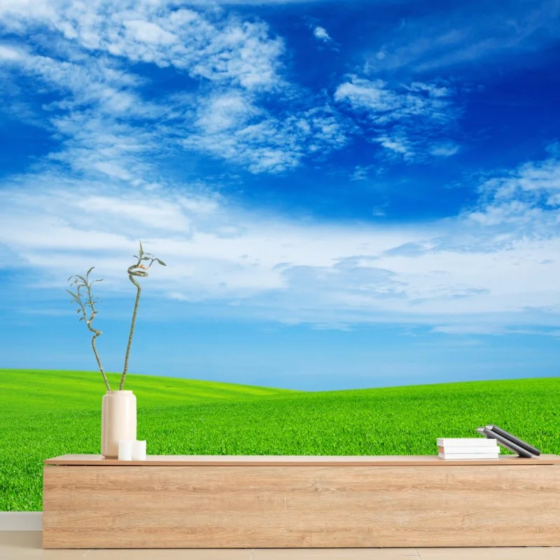 Fototapeta zielona łąka pod błękitnym niebem – Wallissimo® Fototapeta zielona łąka pod błękitnym niebem – Wallissimo®