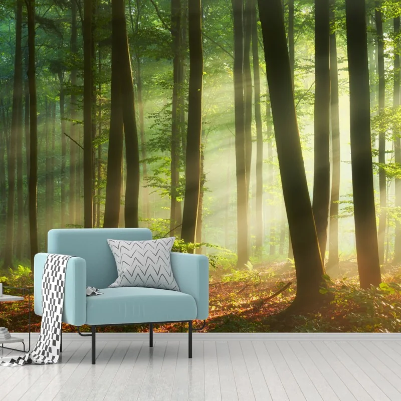 Fototapeta poranny las skąpany w słońcu – Wallissimo® Fototapeta poranny las skąpany w słońcu – Wallissimo®