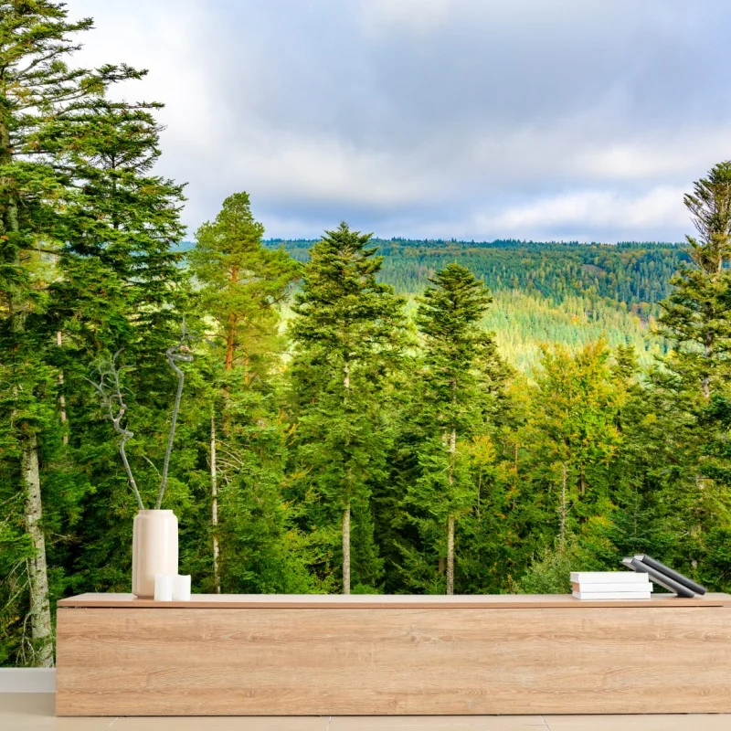 Fototapeta Czarny Las jesienna panorama drzew – Wallissimo® Fototapeta Czarny Las jesienna panorama drzew – Wallissimo®