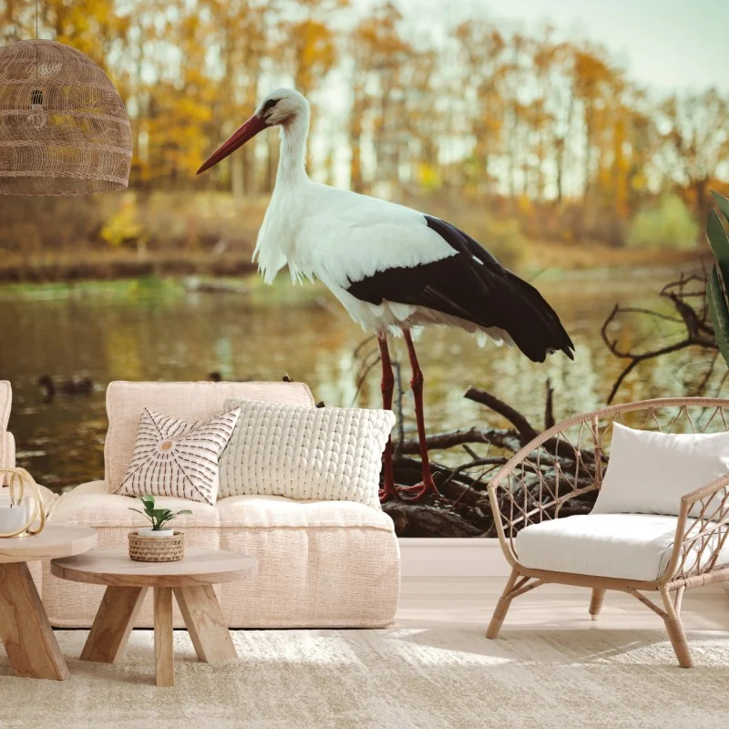Fototapeta biały bocian nad jesiennym jeziorem – Wallissimo® Fototapeta biały bocian nad jesiennym jeziorem – Wallissimo®