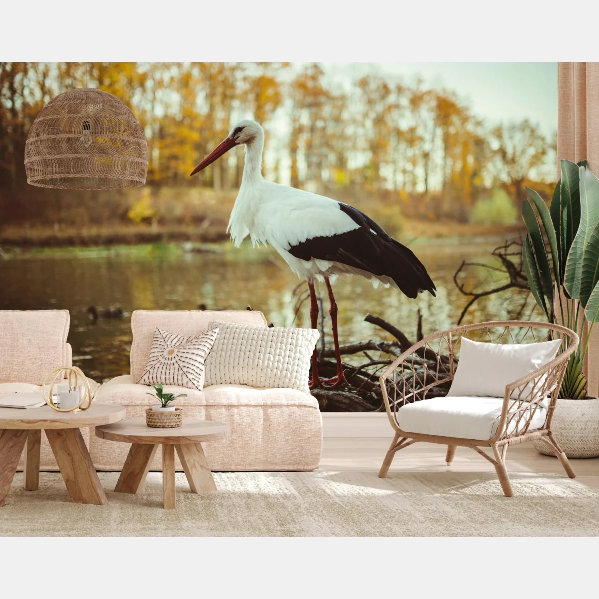 Fototapeta biały bocian nad jesiennym jeziorem – Wallissimo® Fototapeta biały bocian nad jesiennym jeziorem – Wallissimo®