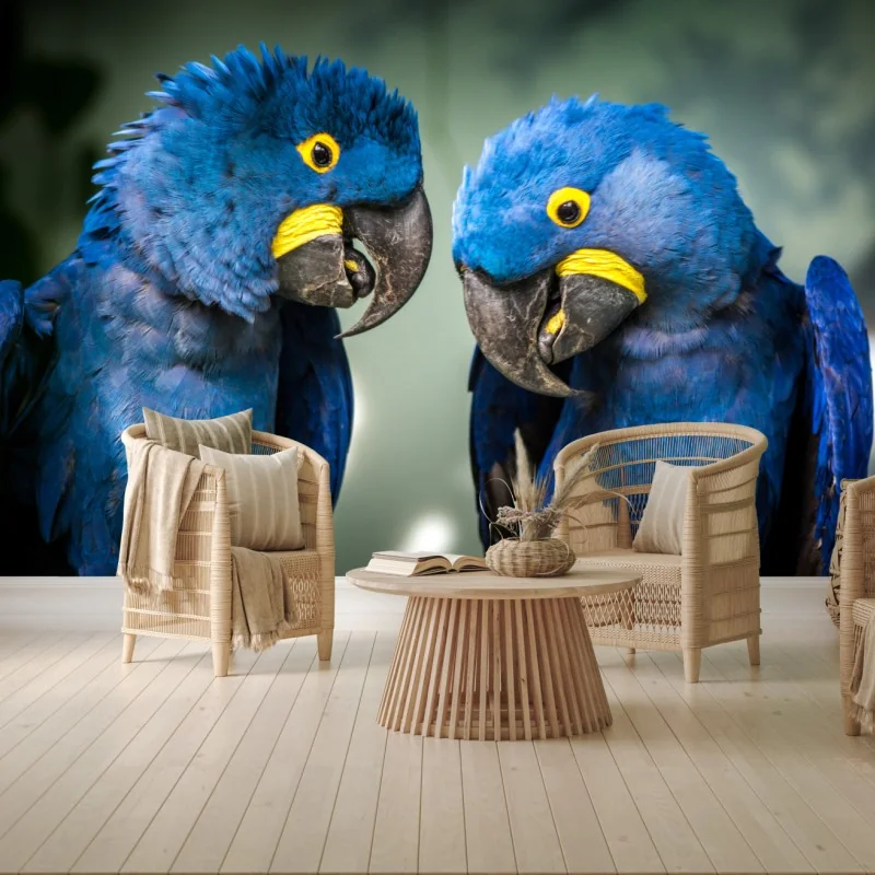 Fototapeta para niebieskich ary - portret z bliska – Wallissimo® Fototapeta para niebieskich ary - portret z bliska – Wallissimo®