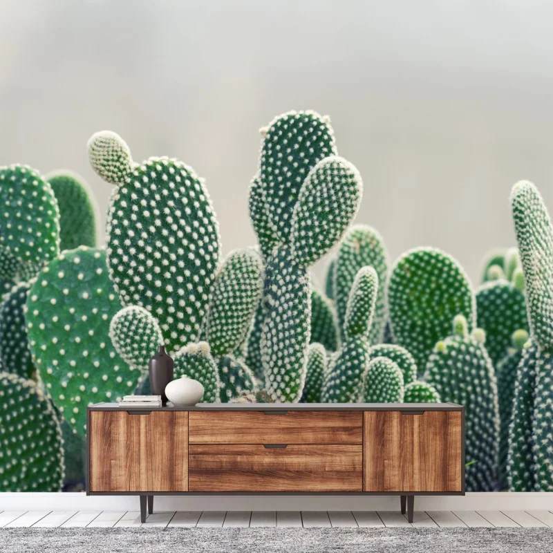 Fototapeta zbliżenie kaktusa opuncji – Wallissimo®