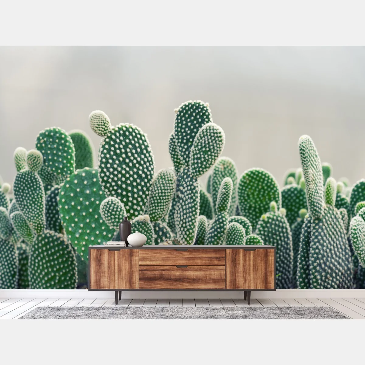 Fototapeta zbliżenie kaktusa opuncji – Wallissimo®