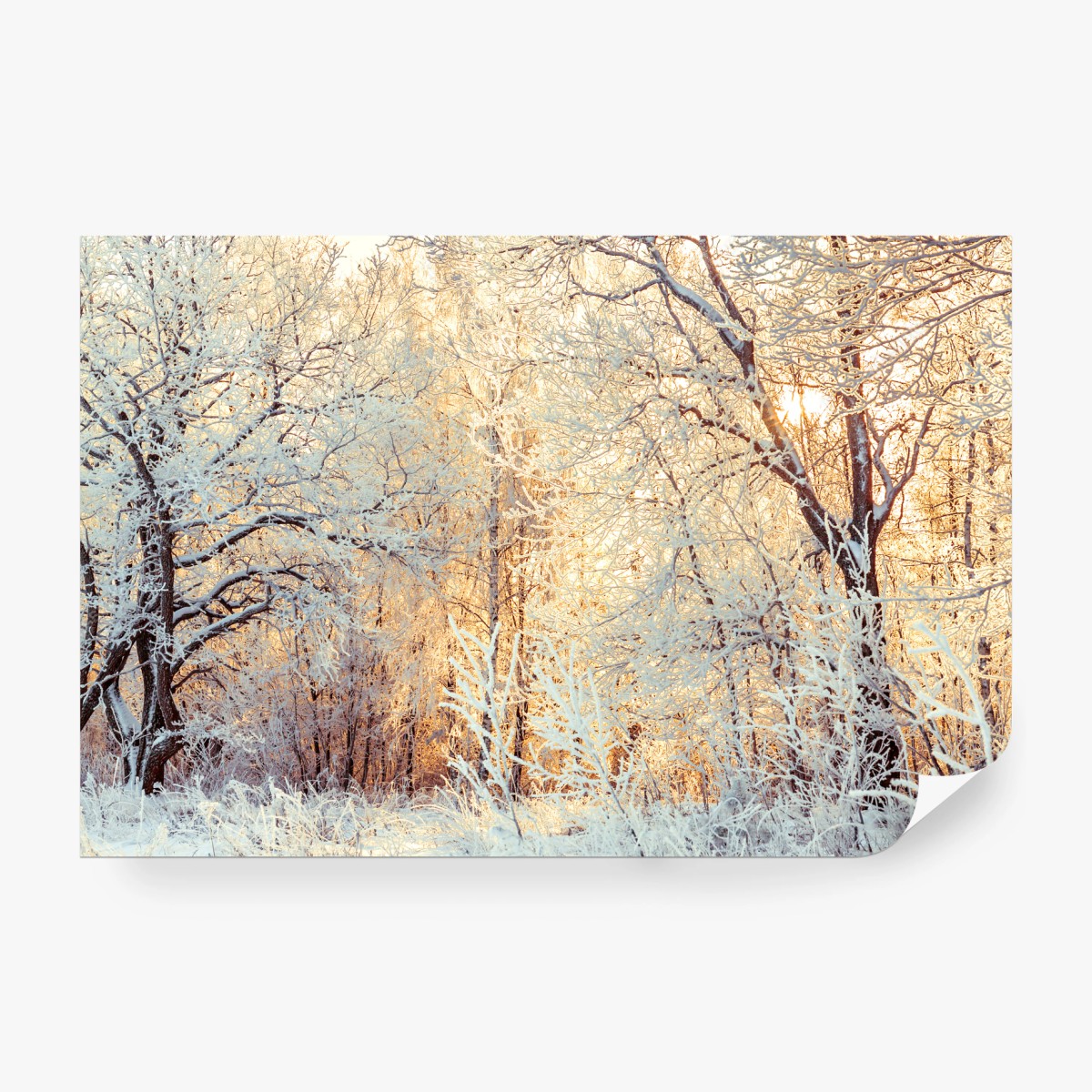 Fototapeta zimowe światło słońca w zaśnieżonym lesie – Wallissimo® Fototapeta zimowe światło słońca w zaśnieżonym lesie – Wallissimo®